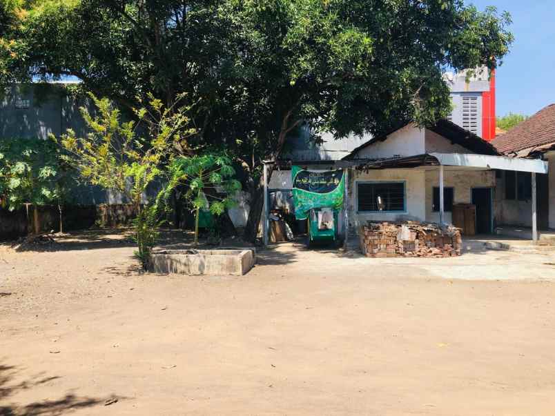 dijual rumah jln gajahmada no 33 kel