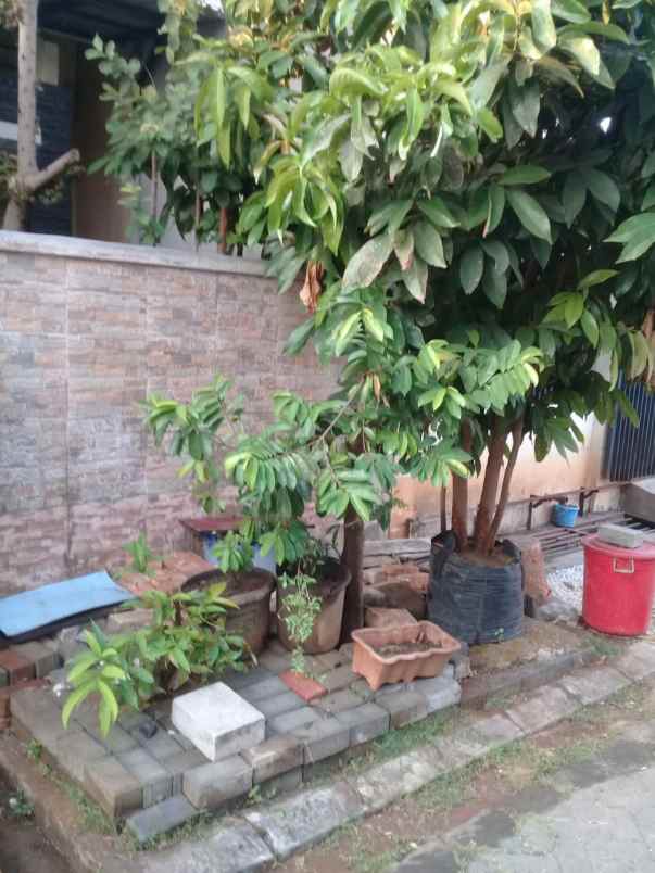 dijual rumah jual rumah di jl bekasi
