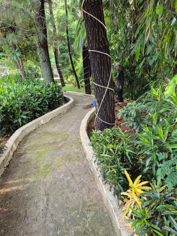 dijual rumah kalimulya cilodong depok