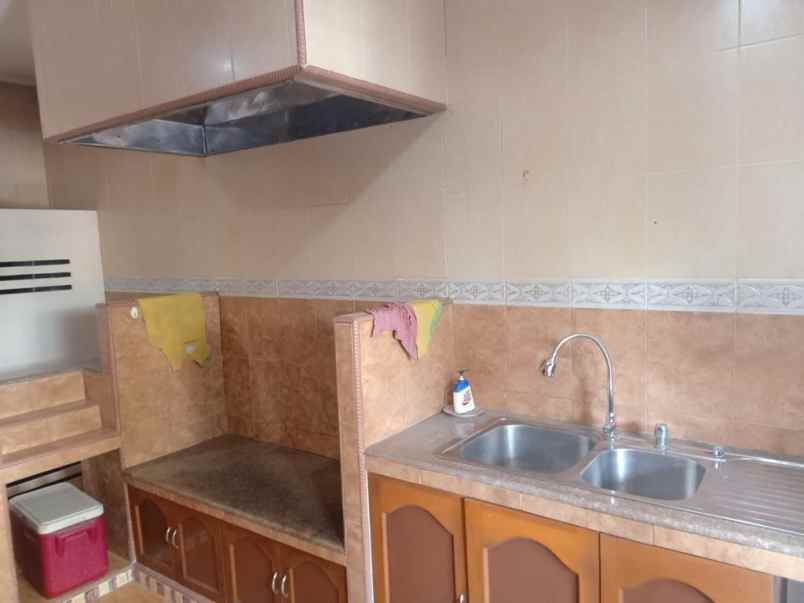 dijual rumah kelapa hybrida kelapa gading