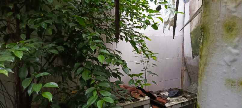 dijual rumah minimalis nan nyaman di larangan ciledug