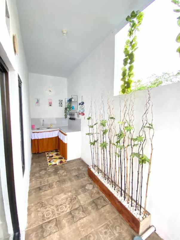 dijual rumah potorono mogang sitimulyo