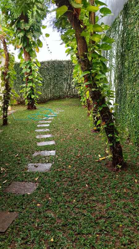 dijual rumah royal residence cluster harewood surabaya