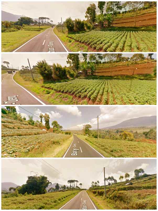 dijual tanah area wisata dieng