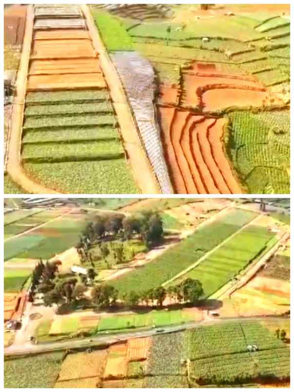 dijual tanah area wisata dieng