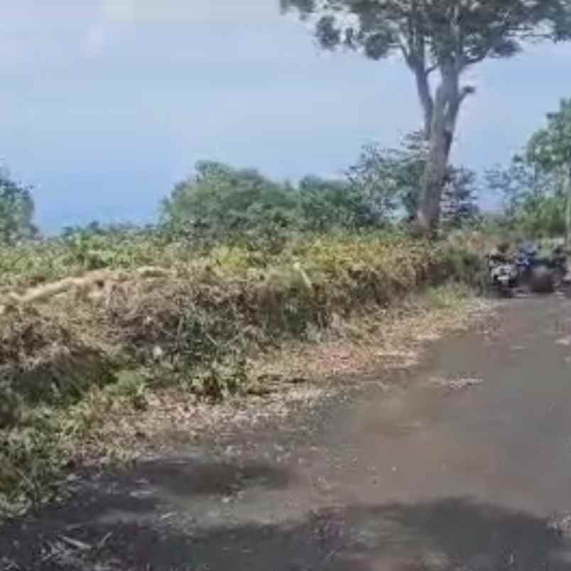 dijual tanah balangan