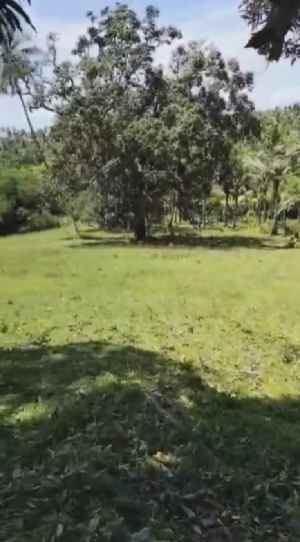 dijual tanah balian beach selemadeg