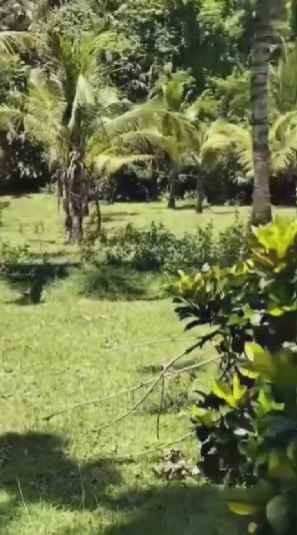 dijual tanah balian beach selemadeg