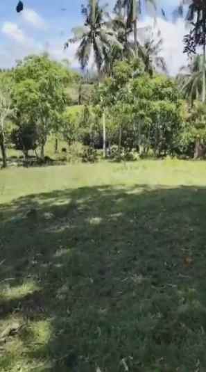 dijual tanah balian beach selemadeg