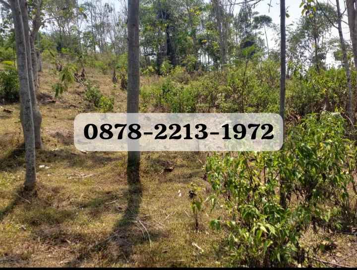 dijual tanah bojongsalam kab bandung barat