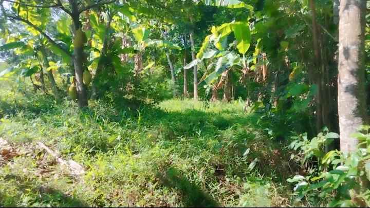 dijual tanah buat invest di cilimus kuningan