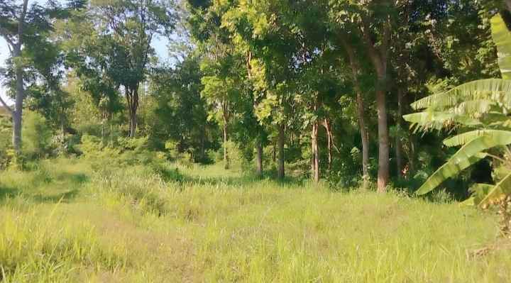 dijual tanah buat invest di cilimus kuningan