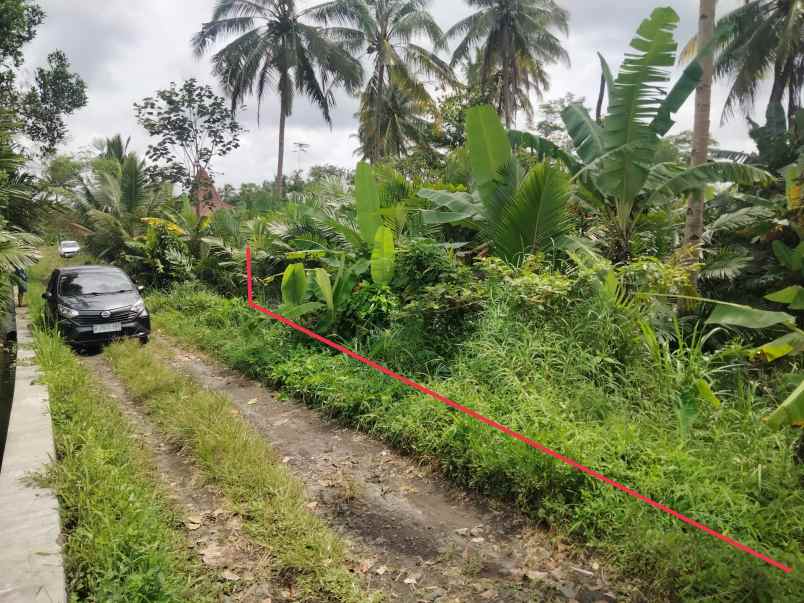 dijual tanah cepet purwobinangun pakem