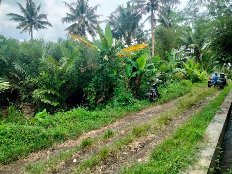 dijual tanah cepet purwobinangun pakem