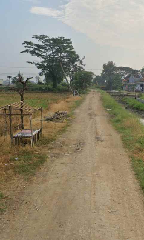 dijual tanah curug reja