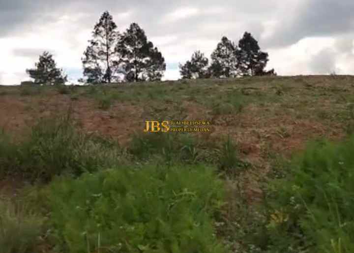 dijual tanah daerah simalungun jalan