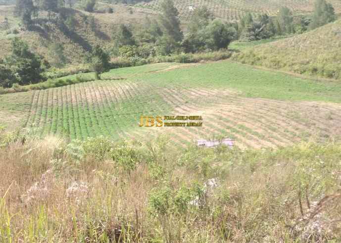 dijual tanah daerah simalungun jalan