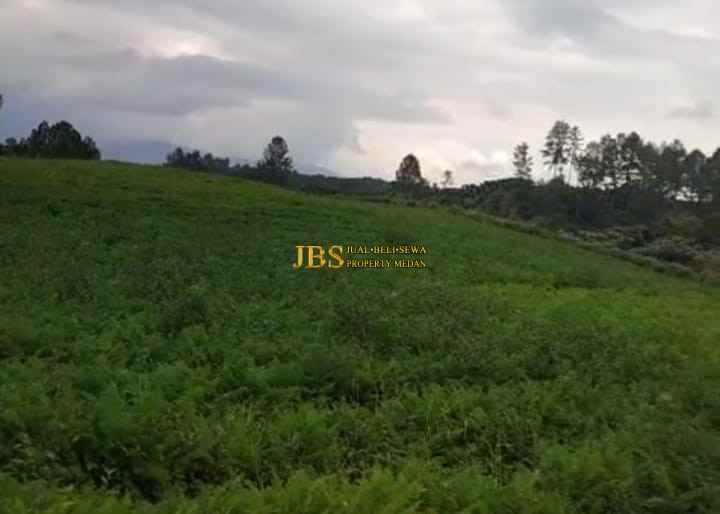 dijual tanah daerah simalungun jalan