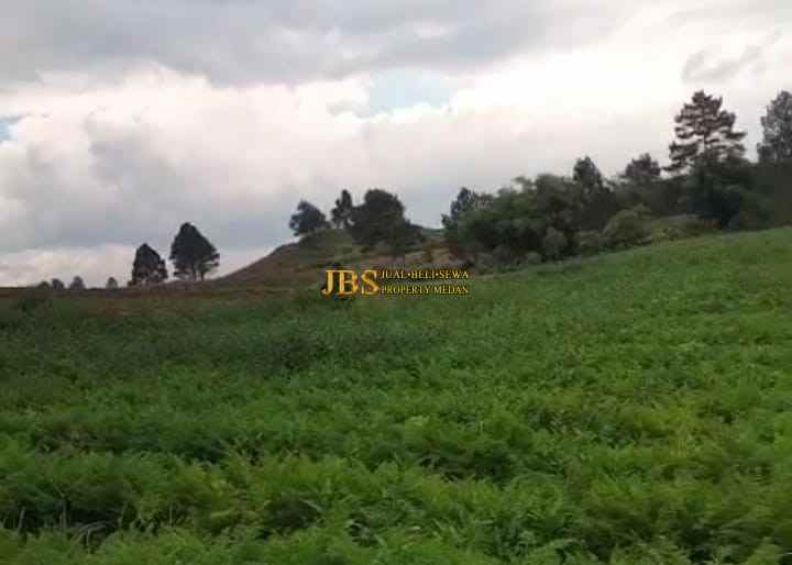 dijual tanah daerah simalungun jalan