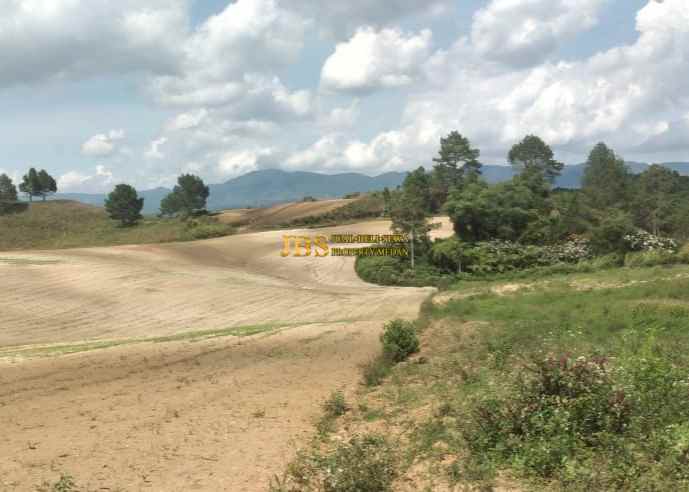 dijual tanah daerah simalungun jalan