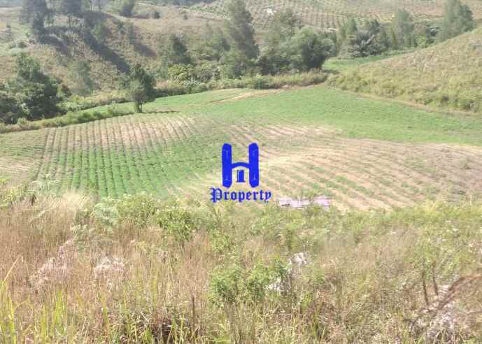 dijual tanah daerah simalungun jalan