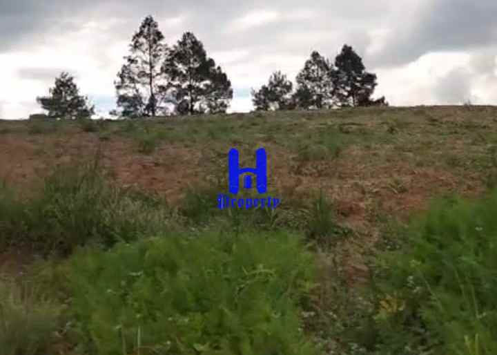 dijual tanah daerah simalungun jalan