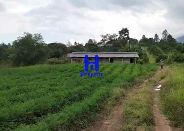 dijual tanah daerah simalungun jalan