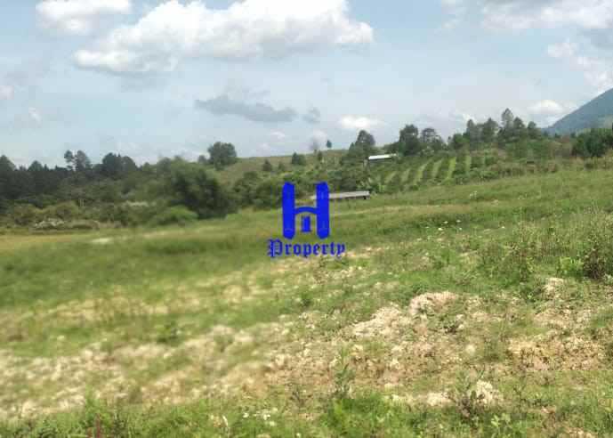 dijual tanah daerah simalungun jalan