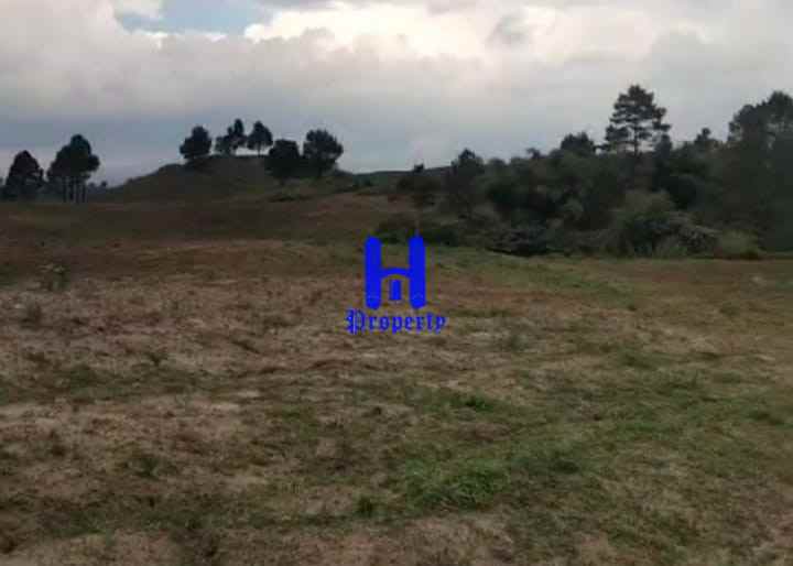 dijual tanah daerah simalungun jalan