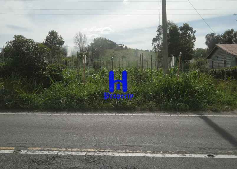 dijual tanah daerah tongging jalan