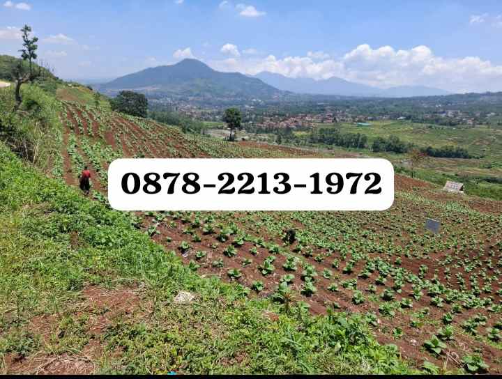 dijual tanah dampit cicalengka kab bandung