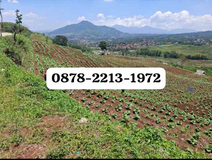 dijual tanah dampit cicalengka kab bandung