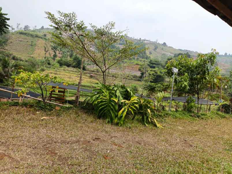 dijual tanah dan bangunan