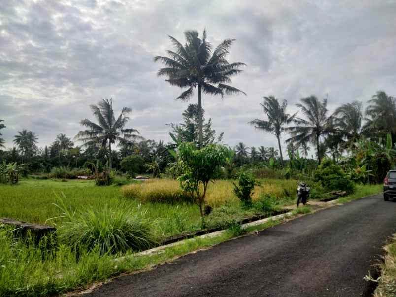 dijual tanah dero wetan harjobinangun
