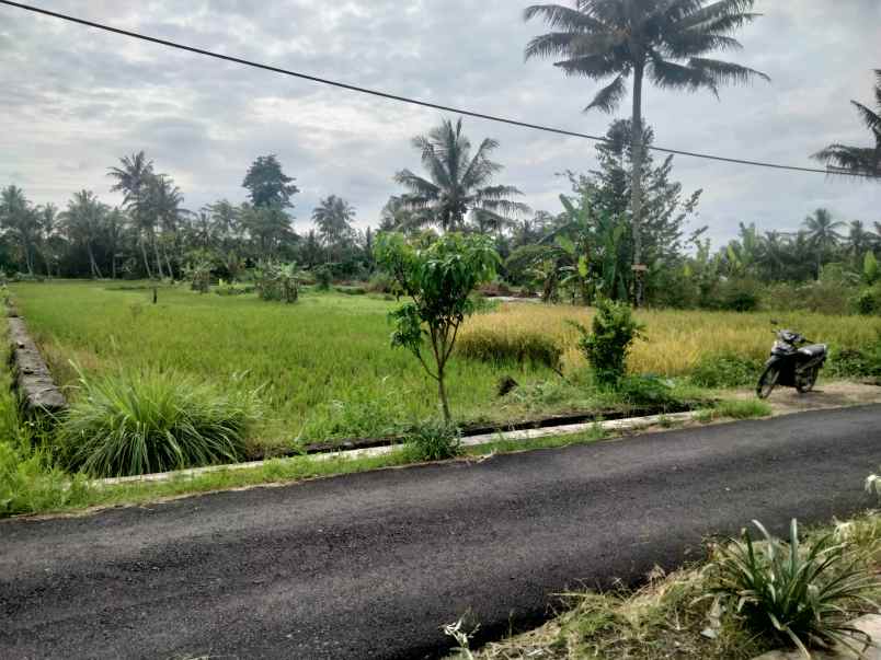 dijual tanah dero wetan harjobinangun