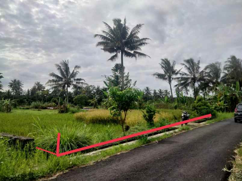 dijual tanah dero wetan harjobinangun