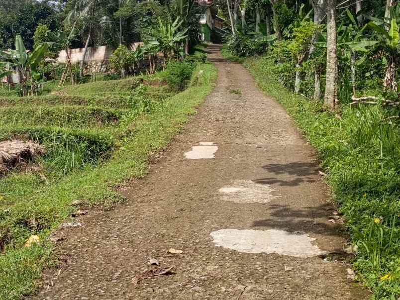 dijual tanah desa tanjungsari