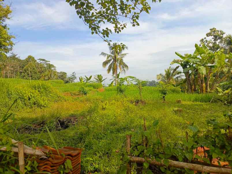 dijual tanah desa tanjungsari