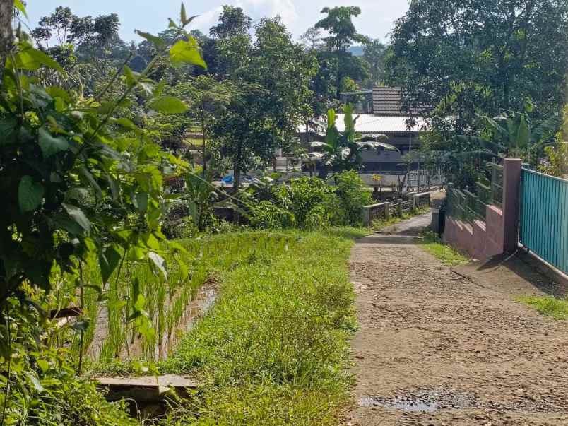 dijual tanah desa tanjungsari