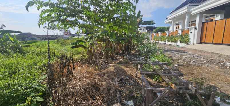 dijual tanah desa triyagan kecamatan