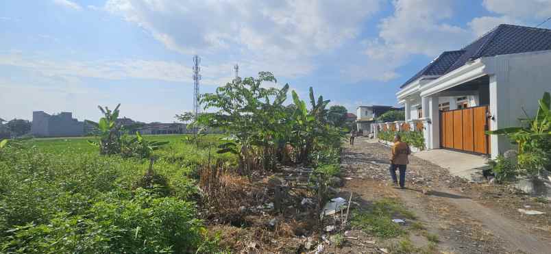 dijual tanah desa triyagan kecamatan