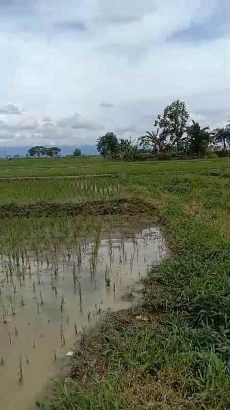 dijual tanah di palur solo