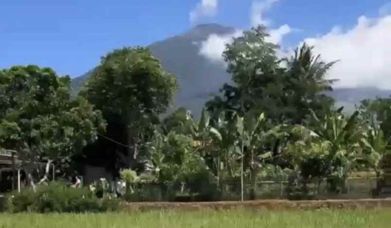 dijual tanah di setianegara