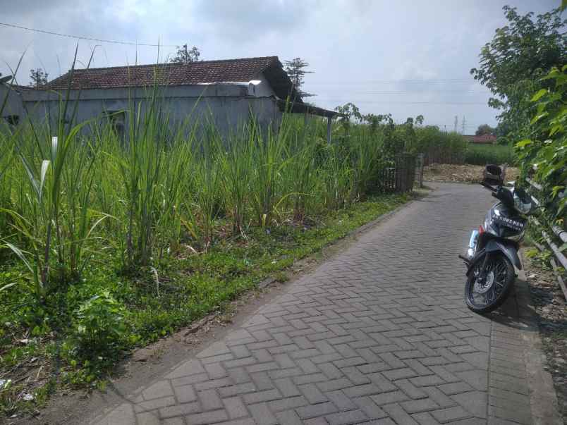 dijual tanah dijual tanah di desa