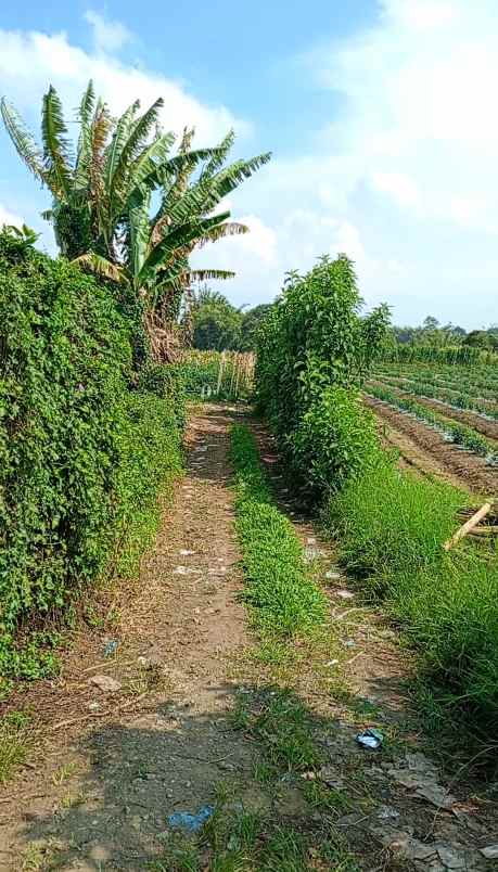 dijual tanah dolat rayat berastagi