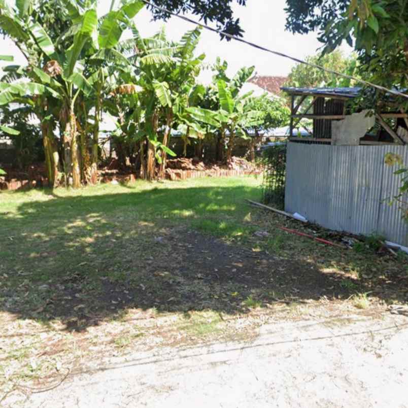 dijual tanah drupadi renon