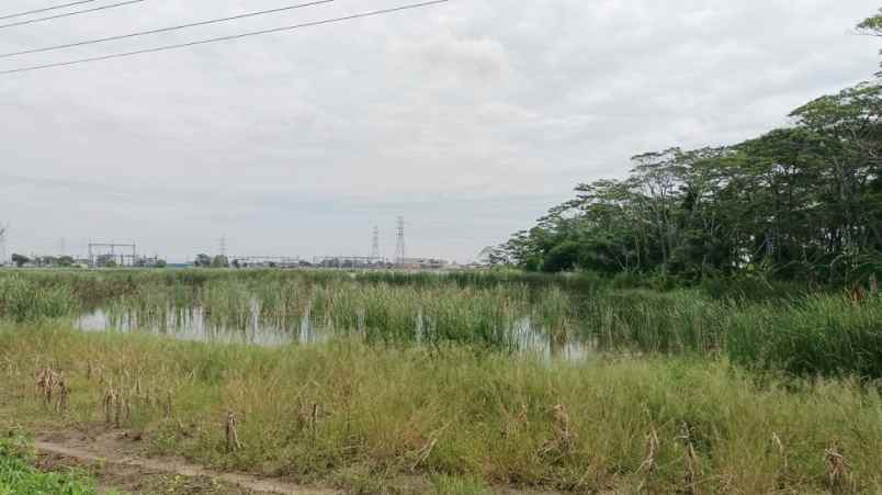 dijual tanah dusun daleman desa loireng