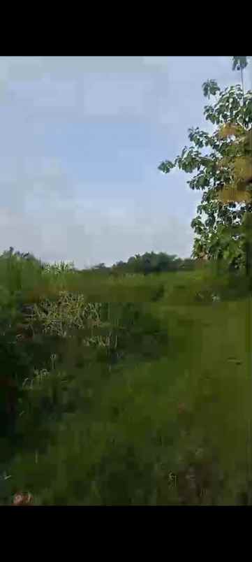 dijual tanah industri di mojokerto