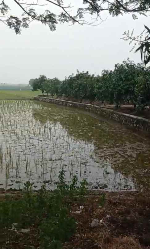dijual tanah jalan raya indramayu cirebon