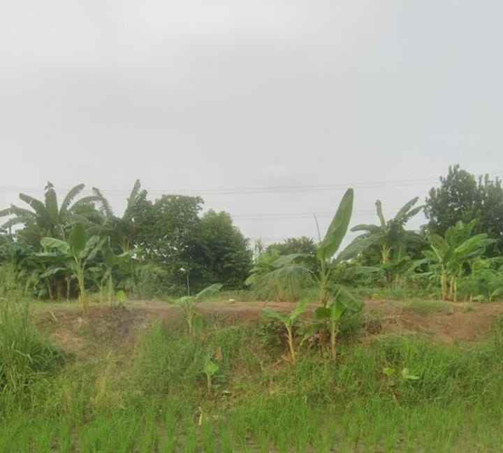 dijual tanah jalan raya kali cbl